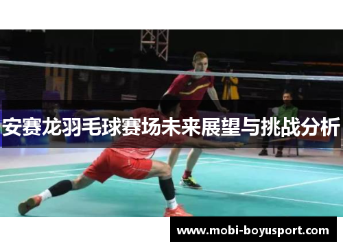 安赛龙羽毛球赛场未来展望与挑战分析