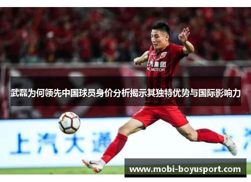 武磊为何领先中国球员身价分析揭示其独特优势与国际影响力