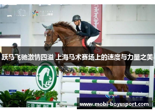 跃马飞驰激情四溢 上海马术赛场上的速度与力量之美