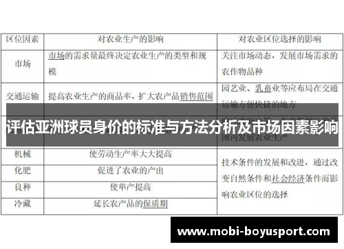 评估亚洲球员身价的标准与方法分析及市场因素影响
