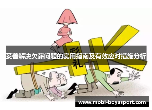 妥善解决欠薪问题的实用指南及有效应对措施分析