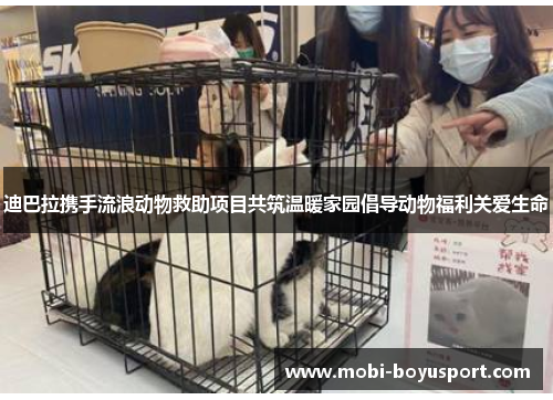 迪巴拉携手流浪动物救助项目共筑温暖家园倡导动物福利关爱生命
